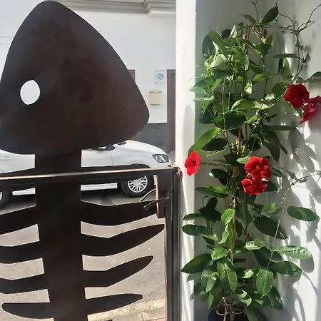 Apartament Casa Pescado A La Sombra De Un Drago *